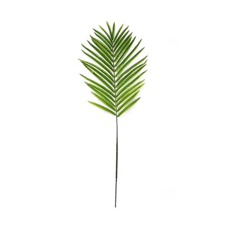 Лист пальмы арека Конэко-О 104 см