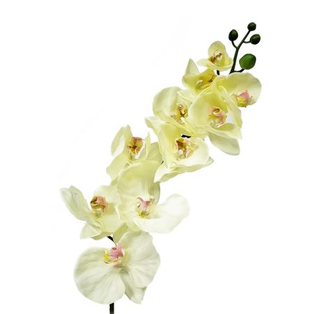 Орхидея фаленопсис Конэко-О 77221 102 см
