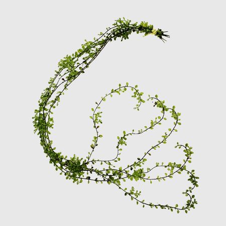 Лиана Конэко-О ампельная, суккулент, искусственная, 125 см, зеленая, 6 ветвей