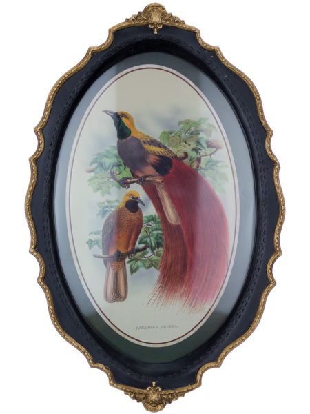 Панно Glasar в овальной резной раме две птицы, 39x24x3 см