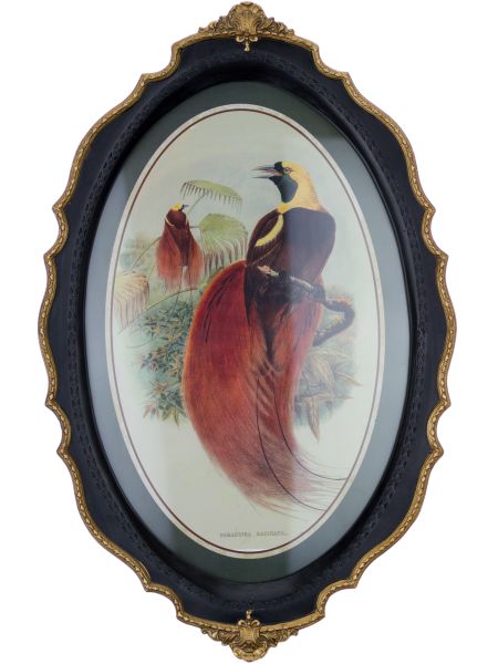Панно Glasar в овальной резной раме птица с красным пушистым хвостом, 39x24x3 см