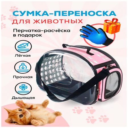 Сумка переноска прозрачная для кошек, собак и грызунов / Переноска с жестким каркасом, с рисунком "Кот в шляпе", черная