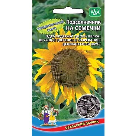 Подсолнечник на семечки, семена Уральский дачник
