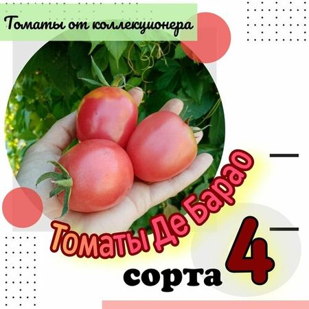 Семена томатов, 4 сорта ДеБарао, 40 семян