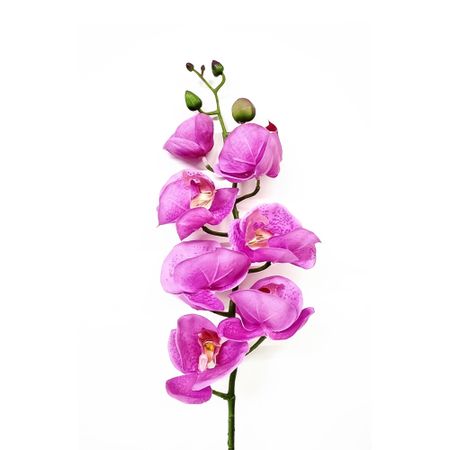 Орхидея фаленопсис Конэко-О 63621 76 см
